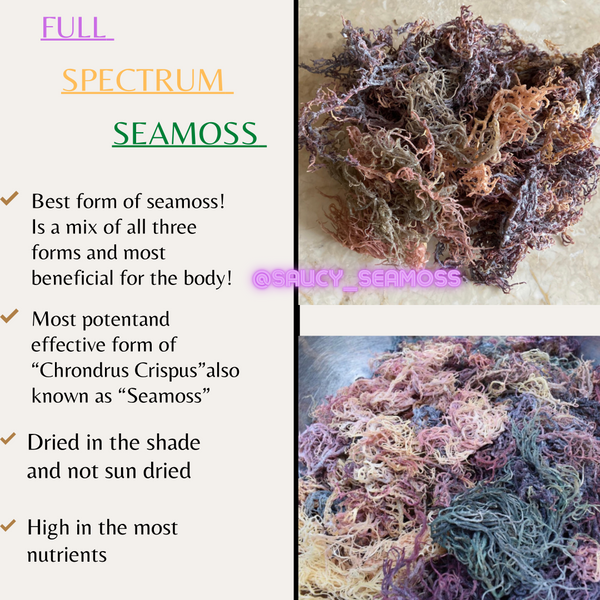 Different Types Of Seamoss